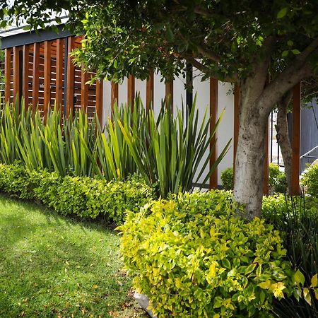 Zimmer Suites Aguascalientes Kültér fotó