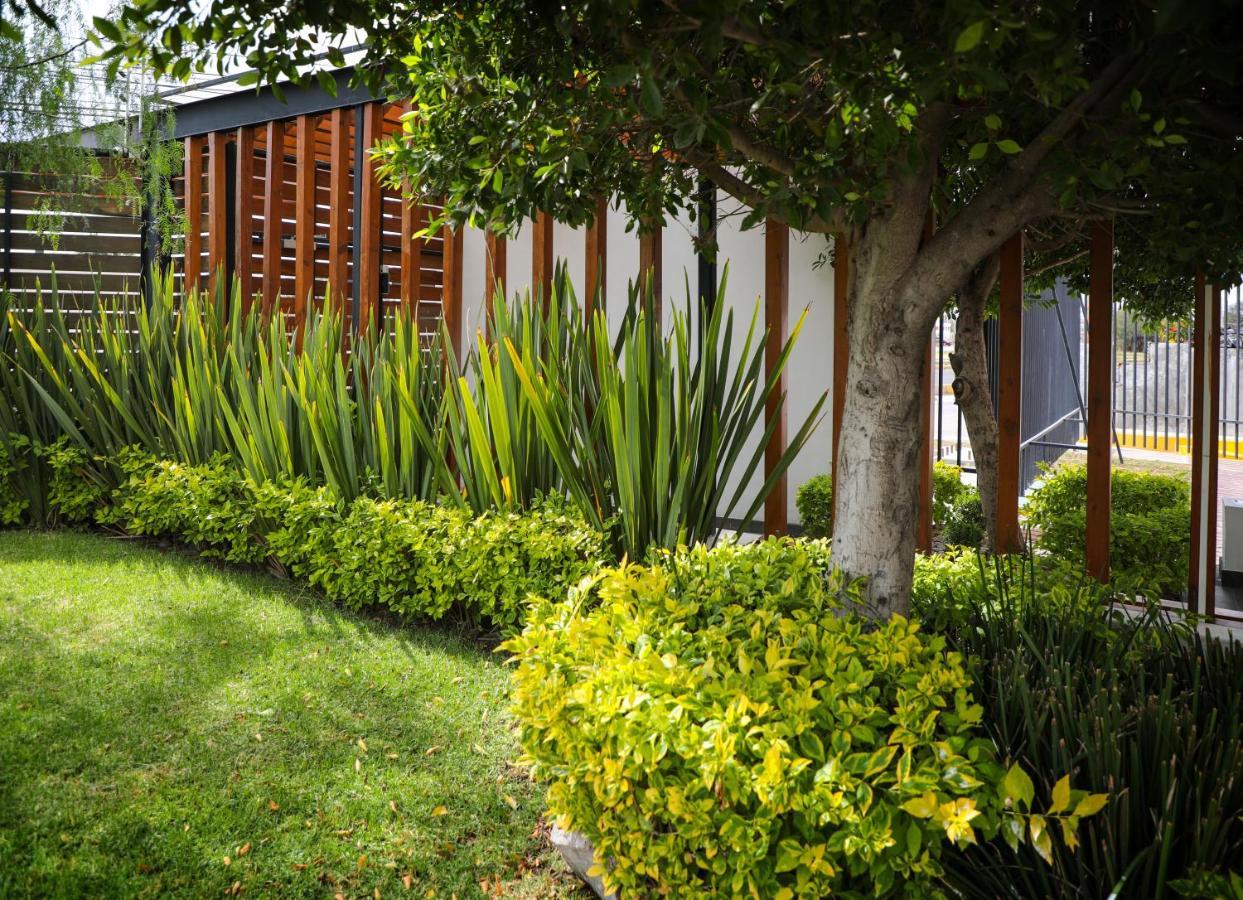 Zimmer Suites Aguascalientes Kültér fotó